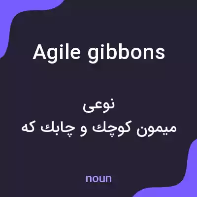معنی agile gibbons به فارسی معنی agile gibbons به فارسی