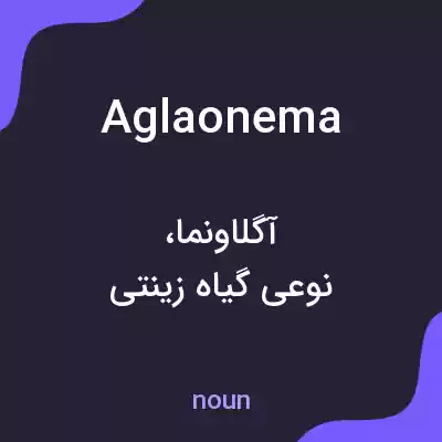معنی aglaonema به فارسی معنی aglaonema به فارسی