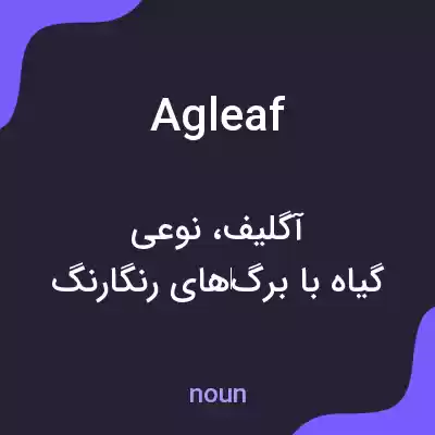 معنی agleaf به فارسی معنی agleaf به فارسی