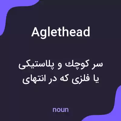 معنی aglethead به فارسی