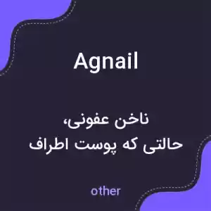 معنی agnail به فارسی معنی agnail به فارسی
