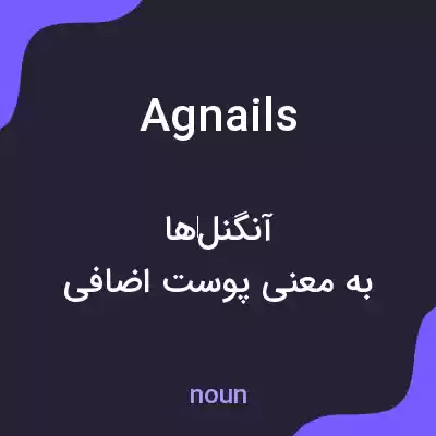 معنی agnails به فارسی معنی agnails به فارسی