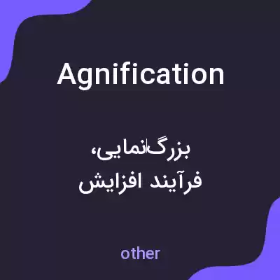 معنی agnification به فارسی معنی agnification به فارسی