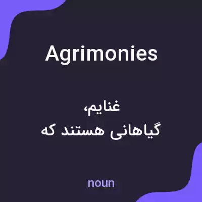 معنی agrimonies به فارسی معنی agrimonies به فارسی