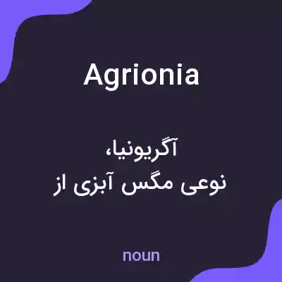 معنی agrionia به فارسی معنی agrionia به فارسی