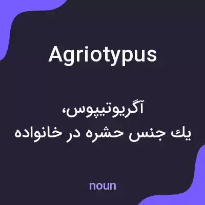 معنی agriotypus به فارسی معنی agriotypus به فارسی