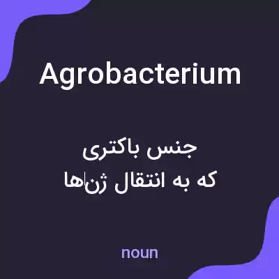 معنی agrobacterium به فارسی معنی agrobacterium به فارسی