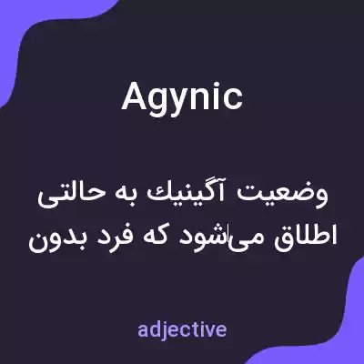 معنی agynic به فارسی معنی agynic به فارسی