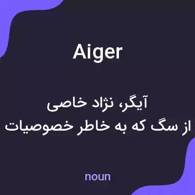 معنی aiger به فارسی