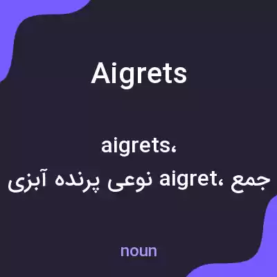 معنی aigrets به فارسی معنی aigrets به فارسی