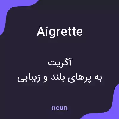 معنی aigrette به فارسی معنی aigrette به فارسی
