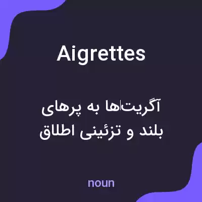 معنی aigrettes به فارسی معنی aigrettes به فارسی