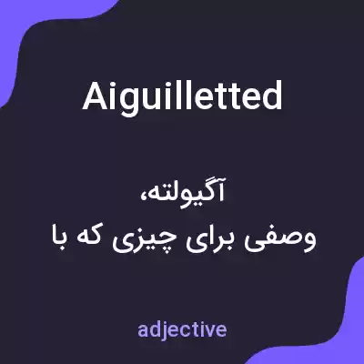 معنی aiguilletted به فارسی معنی aiguilletted به فارسی