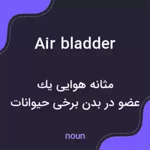 معنی air bladder به فارسی معنی air bladder به فارسی