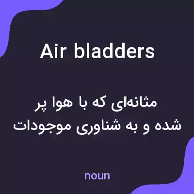 معنی air bladders به فارسی معنی air bladders به فارسی