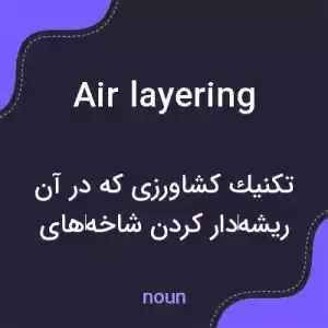 معنی air layering به فارسی معنی air layering به فارسی