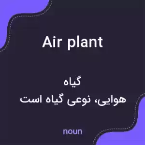 معنی air plant به فارسی معنی air plant به فارسی