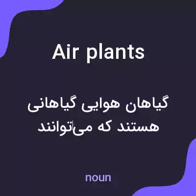 معنی air plants به فارسی معنی air plants به فارسی