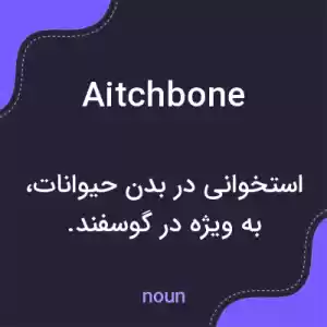 معنی aitchbone به فارسی معنی aitchbone به فارسی