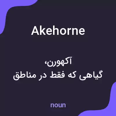 معنی akehorne به فارسی