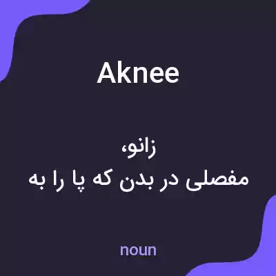 معنی aknee به فارسی معنی aknee به فارسی