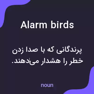 معنی alarm birds به فارسی معنی alarm birds به فارسی