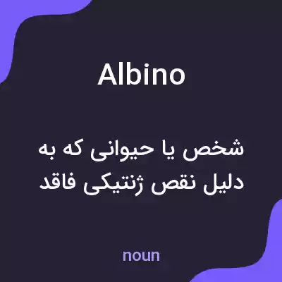 معنی albino به فارسی معنی albino به فارسی