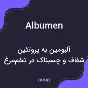 معنی albumen به فارسی معنی albumen به فارسی