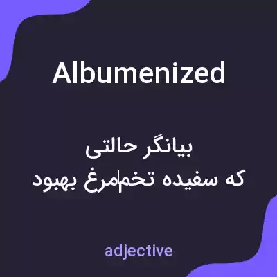 معنی albumenized به فارسی