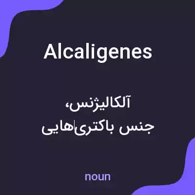 معنی alcaligenes به فارسی معنی alcaligenes به فارسی