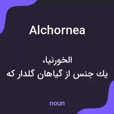 معنی alchornea به فارسی معنی alchornea به فارسی