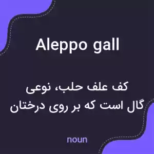 معنی aleppo gall به فارسی معنی aleppo gall به فارسی