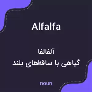 معنی alfalfa به فارسی معنی alfalfa به فارسی