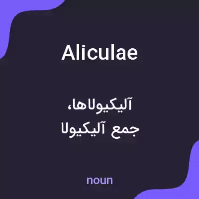 معنی aliculae به فارسی معنی aliculae به فارسی