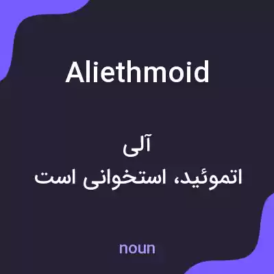 معنی aliethmoid به فارسی معنی aliethmoid به فارسی