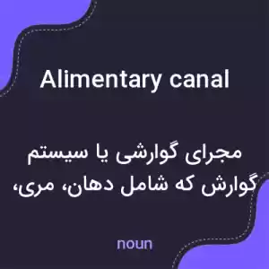 معنی alimentary canal به فارسی معنی alimentary canal به فارسی