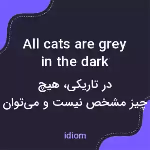 معنی all cats are grey in the dark به فارسی معنی all cats are grey in the dark به فارسی