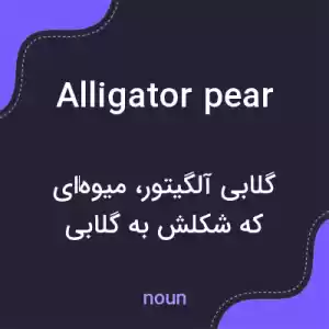معنی alligator pear به فارسی معنی alligator pear به فارسی