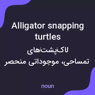 معنی alligator snapping turtles به فارسی معنی alligator snapping turtles به فارسی