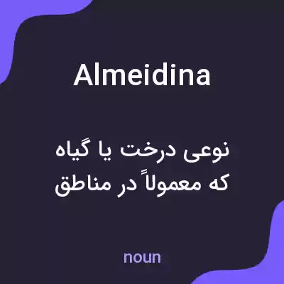 معنی almeidina به فارسی معنی almeidina به فارسی