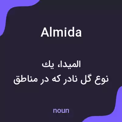 معنی almida به فارسی معنی almida به فارسی