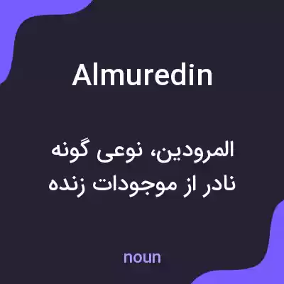معنی almuredin به فارسی معنی almuredin به فارسی