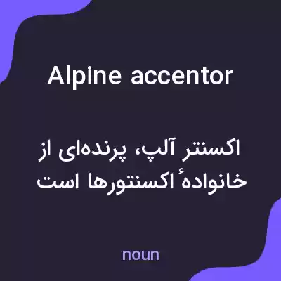 معنی alpine accentor به فارسی