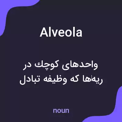 معنی alveola به فارسی معنی alveola به فارسی
