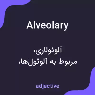 معنی alveolary به فارسی