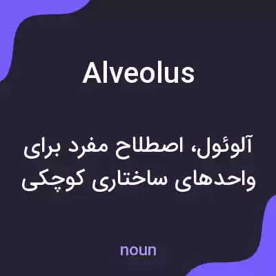 معنی alveolus به فارسی معنی alveolus به فارسی