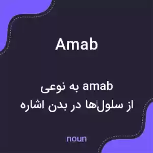 معنی amab به فارسی