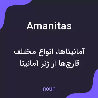 معنی amanitas به فارسی معنی amanitas به فارسی