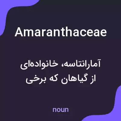 معنی amaranthaceae به فارسی