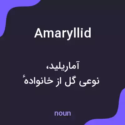 معنی amaryllid به فارسی